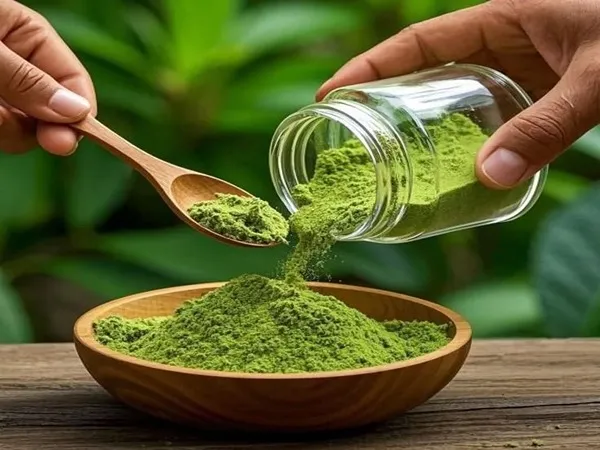خرید و قیمت روز حنا مشکی هندی