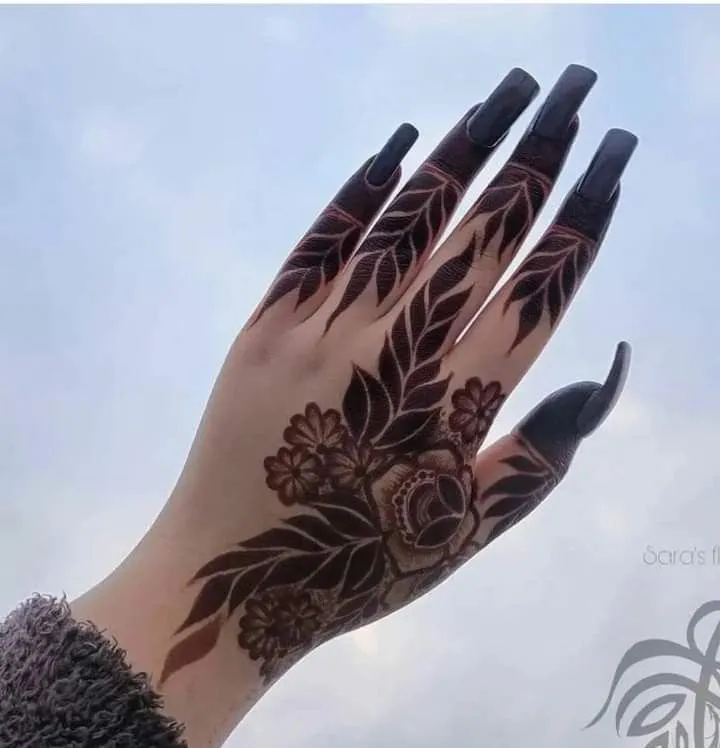 خرید حنا هندی مشکی روی ناخن با قیمت استثنایی