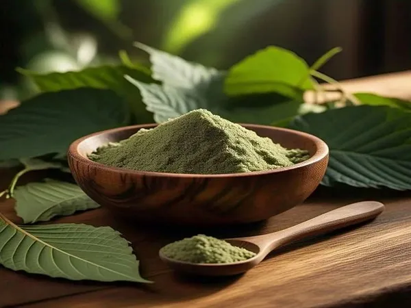خرید و قیمت روز حنا مشکی هندی